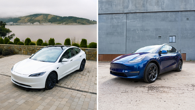 Model 3 og Model Y | Firmabiler | Læs mere