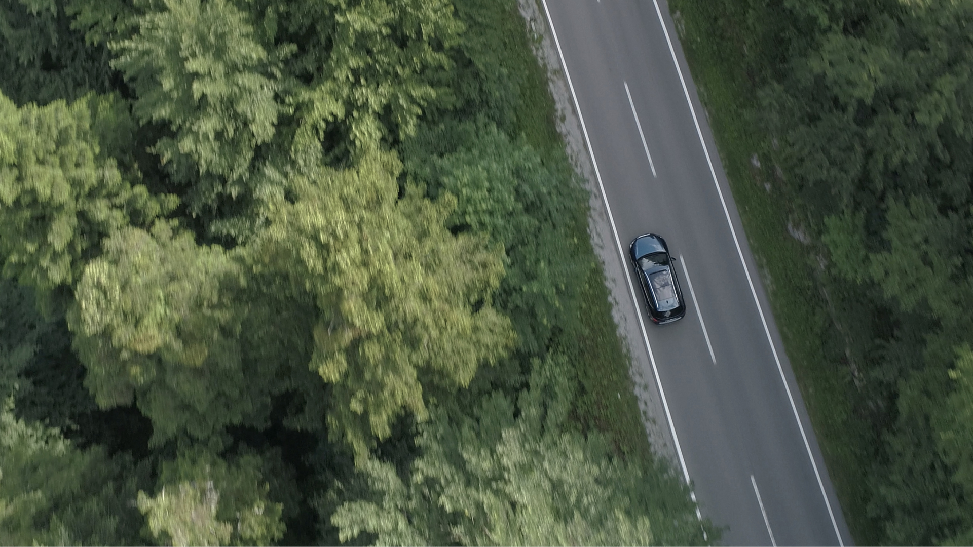 NF Fleet | Plant a tree – green your fleet